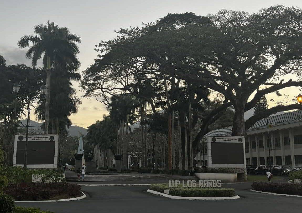 The Carousel Never Stops: A Visit That Closed an Illusion I Didn’t Know I Was Keeping