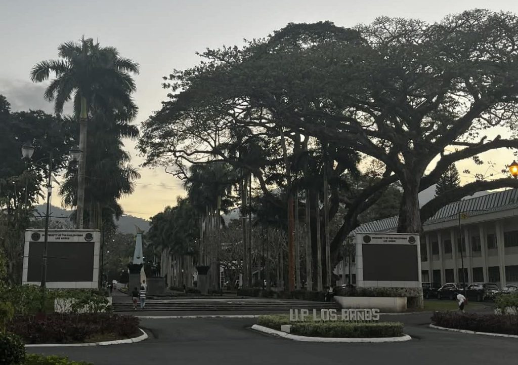 The Carousel Never Stops: A Visit That Closed an Illusion I Didn’t Know I Was&nbsp;Keeping